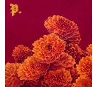 Proper - I Spent the Winter Writing Songs About Getting Better - CD - E1398z