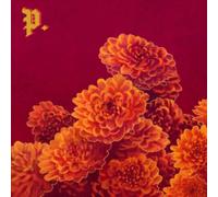 Proper - I Spent the Winter Writing Songs About Getting Better - CD - K3z