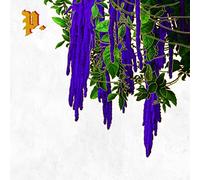 Proper. - The Great American Novel [VINYL]