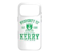 Property of County Kerry Ireland Green Distressed Print Case for iPhone 17 Pro Max