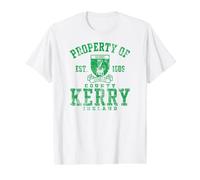 Property of County Kerry Ireland Green Distressed Print Value Graphic T-Shirt, Men, White, S