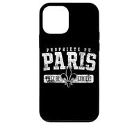 Property of Paris City of Light in French Distressed Case for iPhone 12 mini
