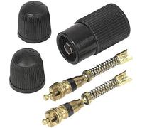 Prophete Schrader Valve Tubeless Kit - Multi-Colour