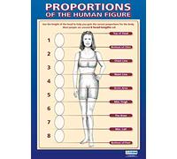 Proportions of the Human Figure | Art Posters | Gloss Paper measuring 850mm x 594mm (A1) | Art Class Posters | Education Charts by Daydream Education