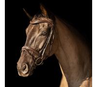Propresicce Pelle Raised Flash Leather Bridle by Hy Equestrian - Cob · Brown/Brass Hardware