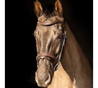 Propresicce Pelle Raised Flash Leather Bridle by Hy Equestrian - Cob · Brown/Silver Hardware