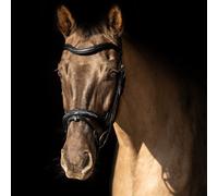 Propresicce Pelle Raised Flash Leather Bridle by Hy Equestrian - Pony · Black/Silver Hardware
