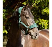 ProReaction Dura Fleece Head Collar by Hy Equestrian - Hunter Green - Full