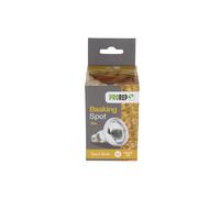 ProRep Basking Spotlamp 40w ES | Screw Fitting | Clear Reflector Spot Bulb | Reptile Lighting | Spotlight