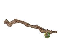 ProRep Cork Oak Branch, 80-100 cm