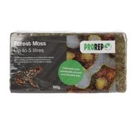 ProRep Forest Moss Bricks 100g | Substrate Block | Reptiles & Amphibians | Reptile Moss Block | Sustainably Sourced
