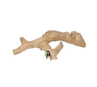 ProRep Jakarta Reptile Branch Large | Natural Coffee Wood Climbing Branch | Arboreal Vivarium & Terrarium Decor | Basking & Enrichment Accessory | Large Size for Spacious Setups