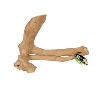 ProRep Jakarta Reptile Branch Medium | Natural Coffee Wood Climbing Branch | Arboreal Vivarium & Terrarium Decor | Basking & Enrichment Accessory | Approx. 500mm