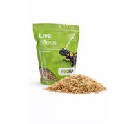 ProRep Live Moss Large Bag 3L | Natural Terrarium Moss Substrate | Reptile, Amphibian & Invertebrate Humidity Control | Shedding & Egg Laying Medium