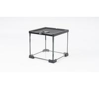 Prorep Mini Terrarium 200 X 200 X 200mm | Glass Terrarium | Spider Tank | Stick Insect Tank | Snail Enclosure | Small Reptile Terrarium | Invertebrates | Amphibians