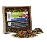 ProRep Tortoise Flower Foraging Tray 70g | Natural Botanical Blend | Marigold, Hibiscus, Cornflower & Mallow | Complementary Tortoise Food | Encourages Natural Foraging Behaviour