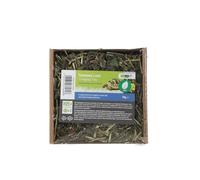 ProRep Tortoise Food Leaf Foraging Tray 70g | Dried Grass, Dandelion, Nettle & Raspberry Leaf | High Fibre Complementary Feed | Natural Foraging for Hermanns, Horsfield, Mediterranean Tortoises