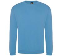 PRORTX Unisex Adult Pro Sweatshirt / N/A N/A PC5476