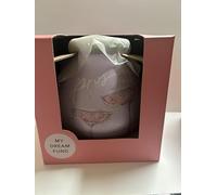 Prosecco design money pot of dreams. smash for cash