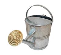 Prosolve Galvanised Watering Can with Brass Rose 9ltr