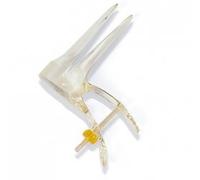 ProSpec Vag. Speculum Small Disposable (Box of 20) (F.300.01)