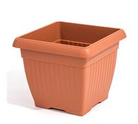 Prosperplast Colour Square Flower Pot with Saucer Terra, Terracotta, 15x15 Cm, 1.7 L