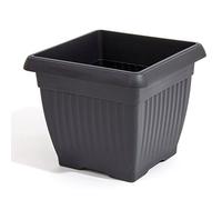 Prosperplast Corinthian Square Planter/Flower Pot (15cm, Black)