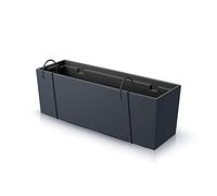 Prosperplast Maceta Urban Case W, Dimensions (mm) 580 x 180 x 195, Colour Anthracite