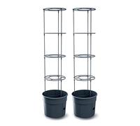 Prosperplast Tomato Grower Plastic Plant Pot in Anthracite 39.2 x 39.2 x 31.5-153 cm Tall Large Set of 2
