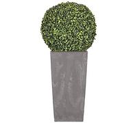 Prosperplast Urbi Square Effect Plastic Tall Planter Set with Tank in Light Grey, 55 (H) x 29.5 (W) x 29.5 (W) x 29.5 (H) cms + Boxwood ball diameter 36 cm