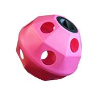 ProStable Hayball Large Holes Stable Toy One Size Pink