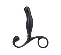 Prostate Massager in a Bag