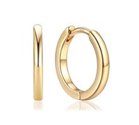 PROSTEEL Huggie Hoop Earrings for Women, Hypoallergenic 925 Sterling Silver Post Lightweight Small Sleeper Cartilage Earrings Tiny Hoops 8/10/12/14/15/16/18/20mm (With Gift Box)