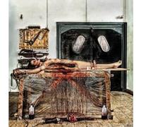 PROSTITUTE DISFIGURE - From Crotch to Crown