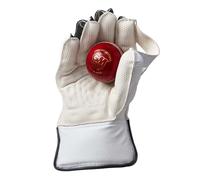 PROSTYLE SPORTS Cricket Wicket Keeper Keeping Gloves (GM) (Youth)