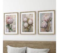 Protea Flowers Wall Art Set of 3 Unframed Poster Prints, Printed Texture Style, Living Room Bedroom Bathroom Poster Home Decor, Soft Muted Colours, Pink White Green (A3)
