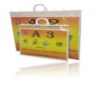 PROTECTAFILE 25 X A3 Clear Foolscap Art Portfolio Folio Folder Flat Carry Case + Handle- Organize, Protect, and Showcase Your Creative Work (Pack of 10)