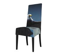 Protection Seat Cover for Dining Chair -Removable/Stretch Eagle Under The Stars Print Chair Cover, for Kitchen, Office