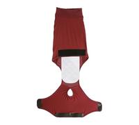 Protective Dog Recovery Apparel Jumpsuit For Lickings And Promoting After Surgeries Wound Protections Pet Surgical Recovery Clothing