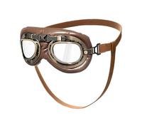 Protective Dog Sun Glasses With Antique Aesthetic PC Comfortable For Beach Hiking Retro Dog