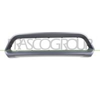 Protective strip centre front bumper grey