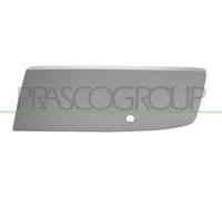 Protective strip left bumper front