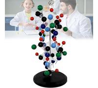 Protein DNA Double Helix Molecular Model, PVC Material for Biology Science Education and Visual Teaching Aid