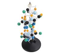 Protein Molecular Model 3D Modeling Building Model Bright Colors QH3212-2 for Classroom School