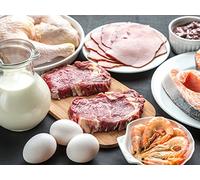 Protein’s Critical Role in Body Composition