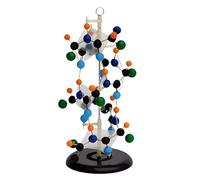 Protein Secondary Structure Model Teaching Model Protein Secondary Structure Model Removerable Biology Teaching Models Scientific Experiment Teaching Aids