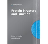 Protein Structure and Function