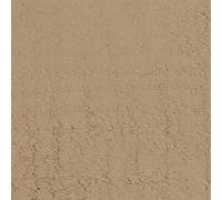 Protek Royal Exterior Finish Soft Mocha 1 Litre