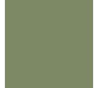Protek Royal Exterior Paint 125ml - Sage Leaf - Protek Royal Exterior Paint 125ml Sample Pot - Sage Leaf