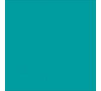 Protek Royal Exterior Paint 125ml - Teal - Protek Royal Exterior Paint 125ml Sample Pot - Teal